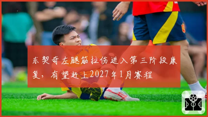 东契奇左腿筋拉伤进入第三阶段康复，有望赶上2027年1月赛程