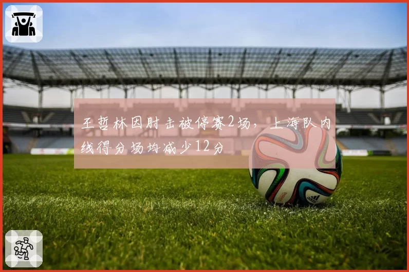 王哲林因肘击被停赛2场，上海队内线得分场均减少12分