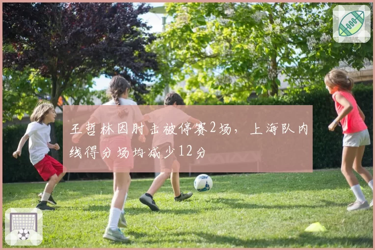 王哲林因肘击被停赛2场,上海队内线得分场均减少12分